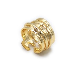 Εικόνα Ασημένιο Δαχτυλίδι JOOLS (FSR3