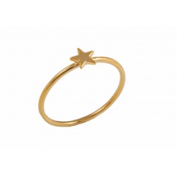 Δαχτυλίδι Αστέρι Χρυσό Κ9 (DA00154)